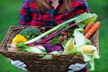 Femme tenant un panier de légumes Namurois